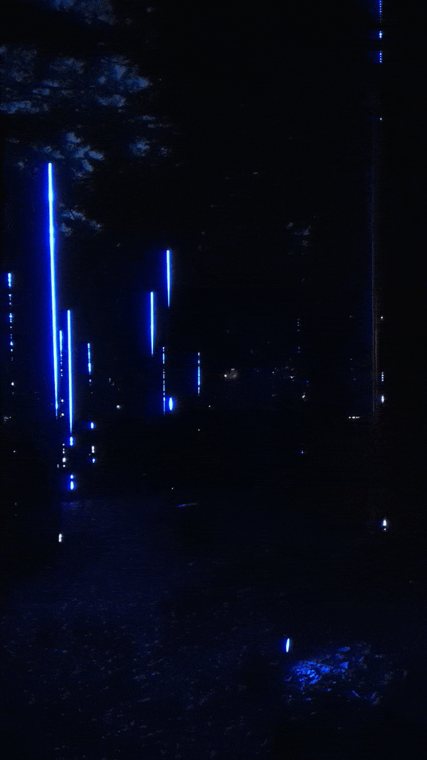 further inspiration at bedgebury light trail